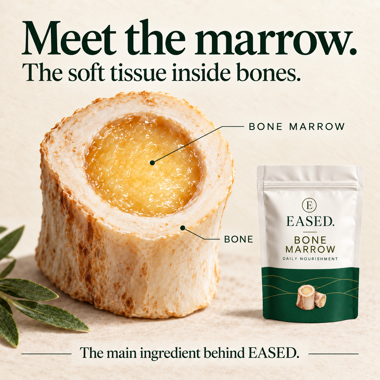 EASED Bone Marrow ingredient with small ingredient illustration on the pouch